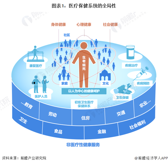 图表1：医疗保健系统的全局性