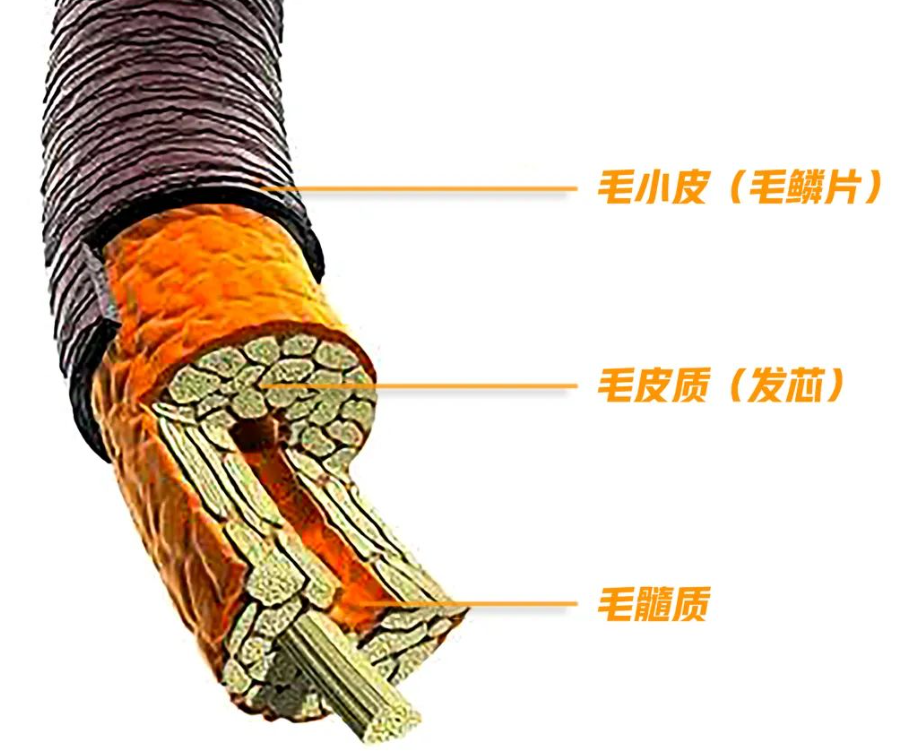 高科技电吹风_科技吹风机_电吹风最新技术