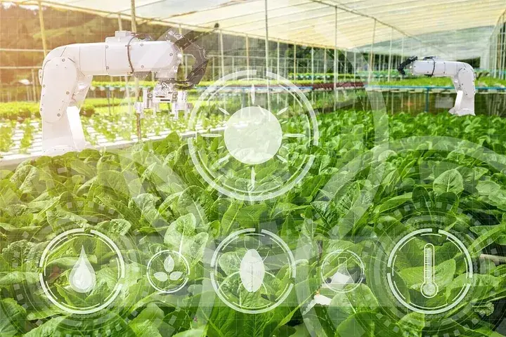 智能机器人应用实例_应用现实机器智能人是什么_智能机器人的现实应用