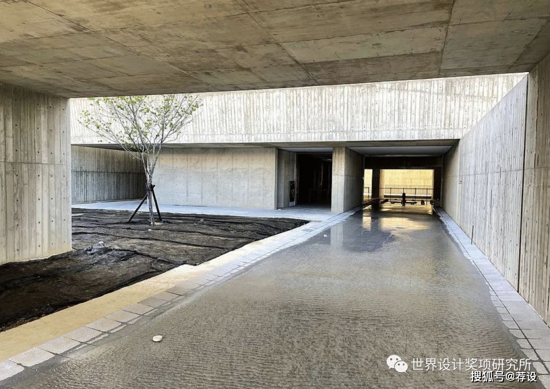 谷红点滴主治什么_红点奖谷_谷红点滴药物的作用是什么
