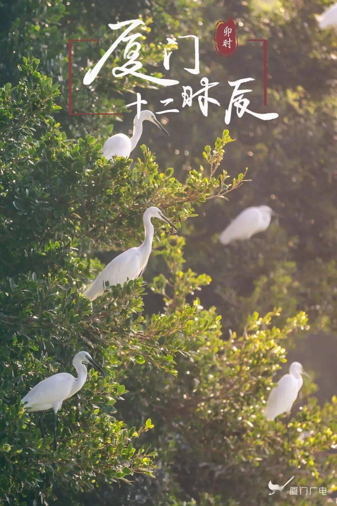 广州美院红点奖_广州美术学院林红_广州美院张弘