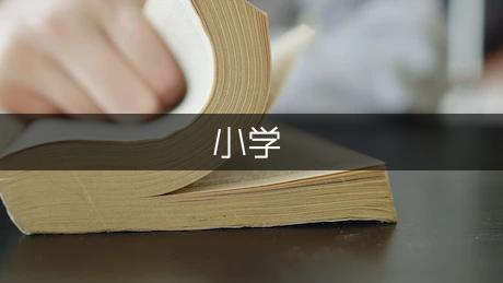 智能机器人小学生作文