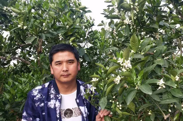 红点奖评审特点_评审奖是什么意思_评审优点